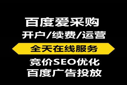 百度竞价运营策略：成功案例解析